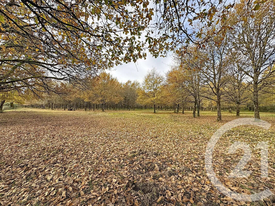Maison à MENESTREAU-EN-VILLETTE