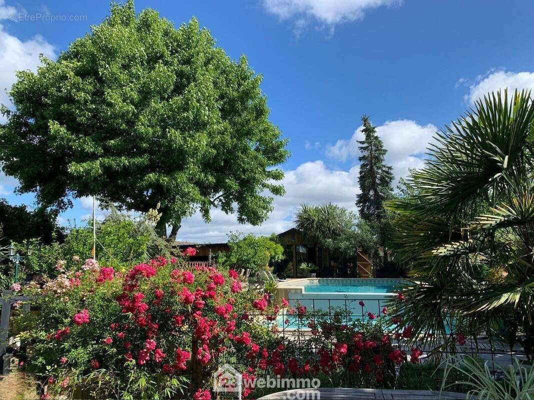 SAISON ESTIVALE - Maison à CARCANS