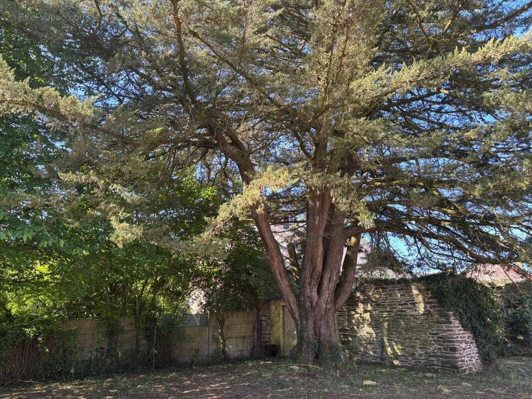Maison 145 m² à Beignon  - photo 7