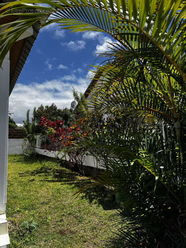 Photo 4 - Maison à LE TAMPON