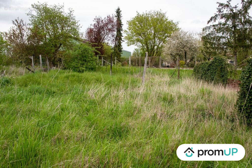 Terrain à MONTMIRAIL