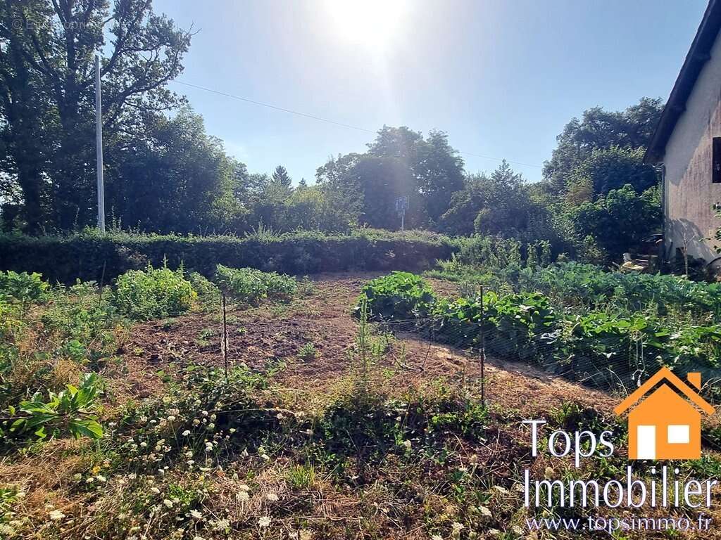 Maison à VILLEFRANCHE-DE-ROUERGUE