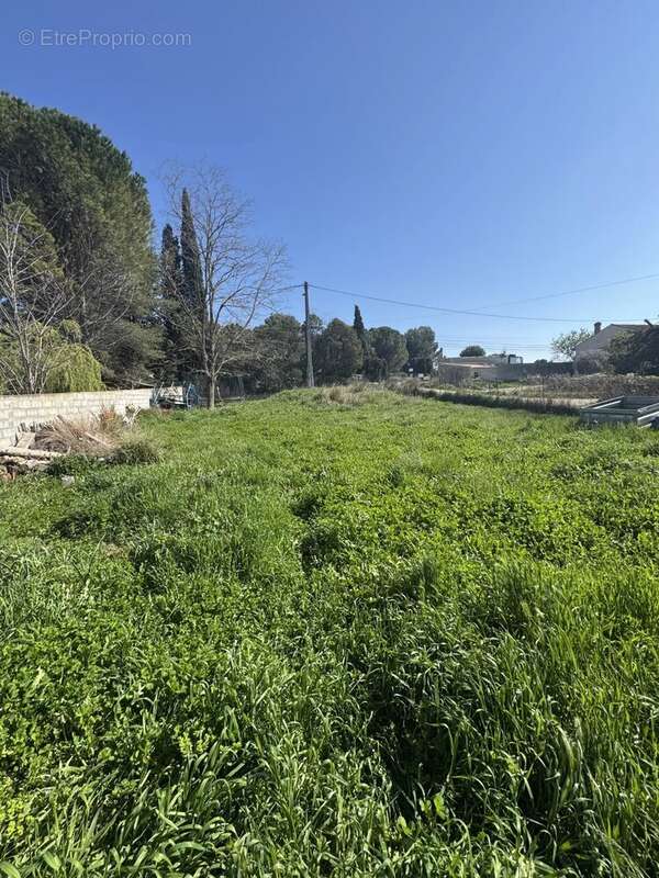 Terrain à PELISSANNE