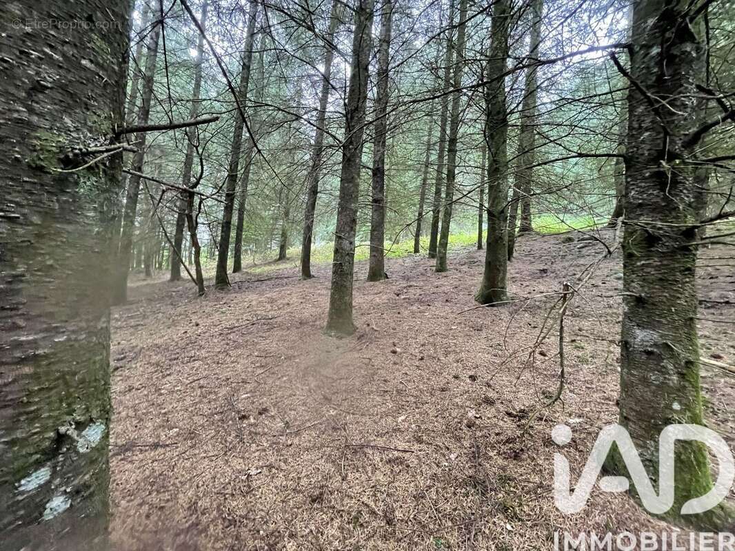 Photo 6 - Terrain à NEDDE