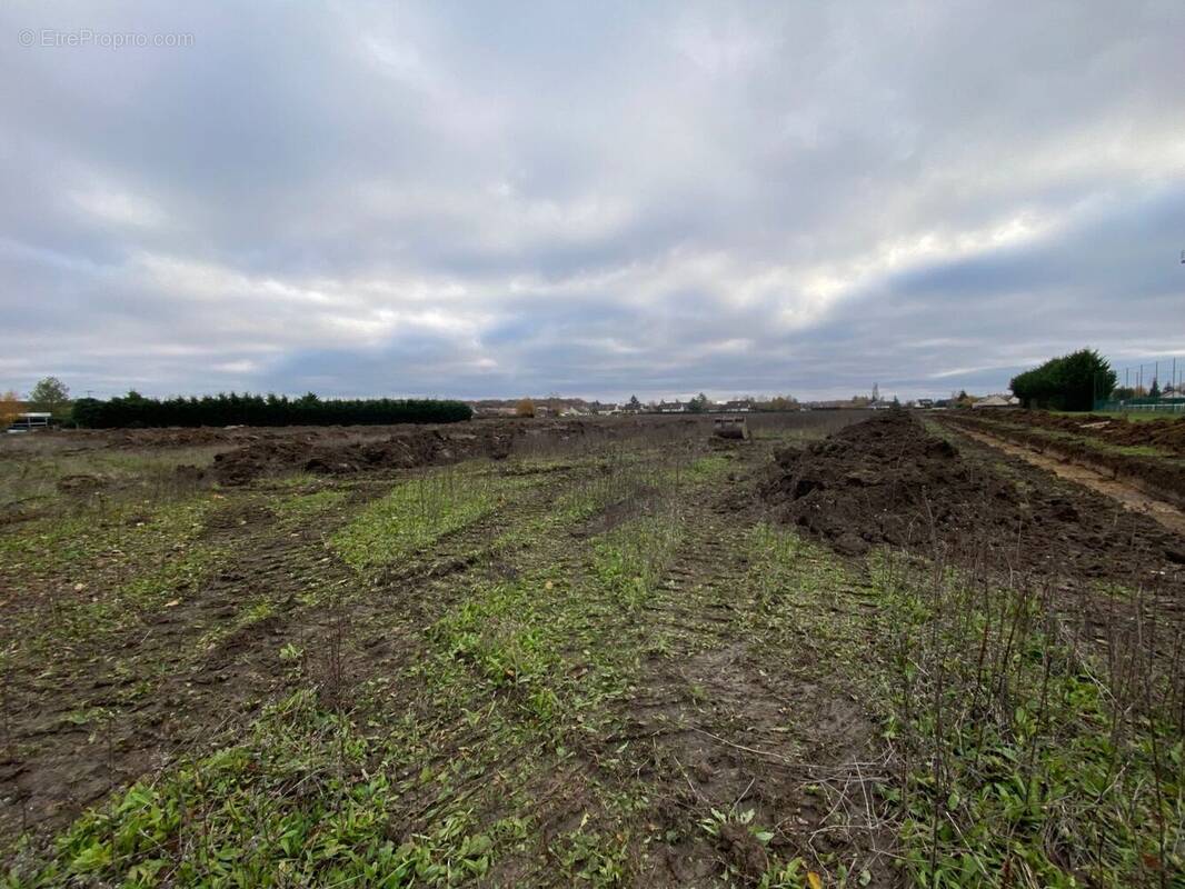 Terrain à SAINT-LYE-LA-FORET