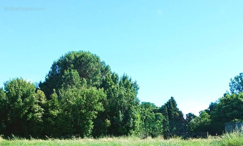Terrain à BOMPAS