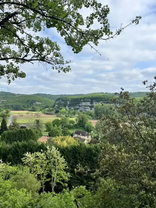 Maison à SAINT-LEON-SUR-VEZERE