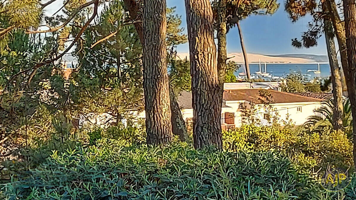 Maison à LEGE-CAP-FERRET