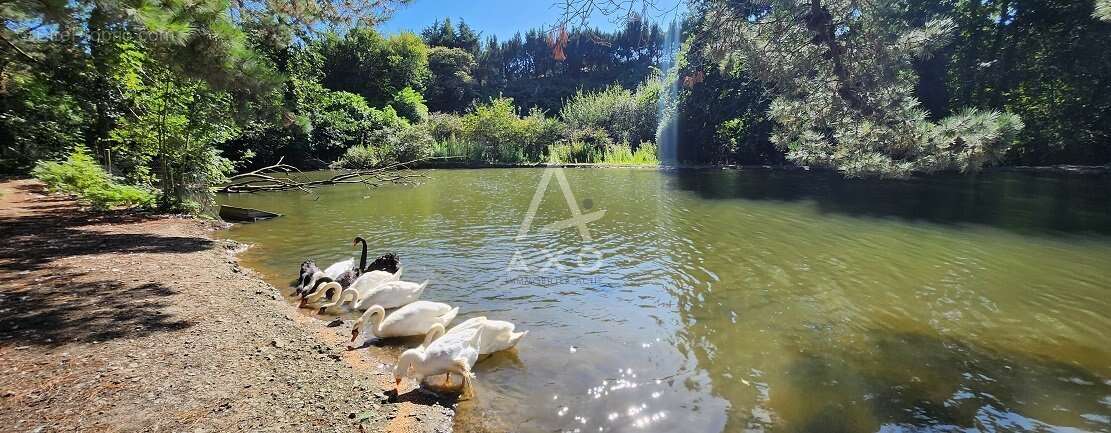 Annonce Immobilière : Grande demeure du XVIIIe siècle à Proximité de la Baie de Saint-Brieuc - photo 7