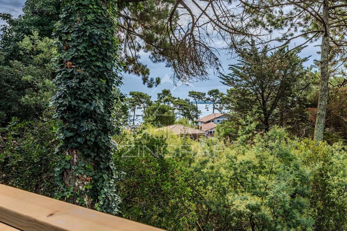 Maison à LEGE-CAP-FERRET