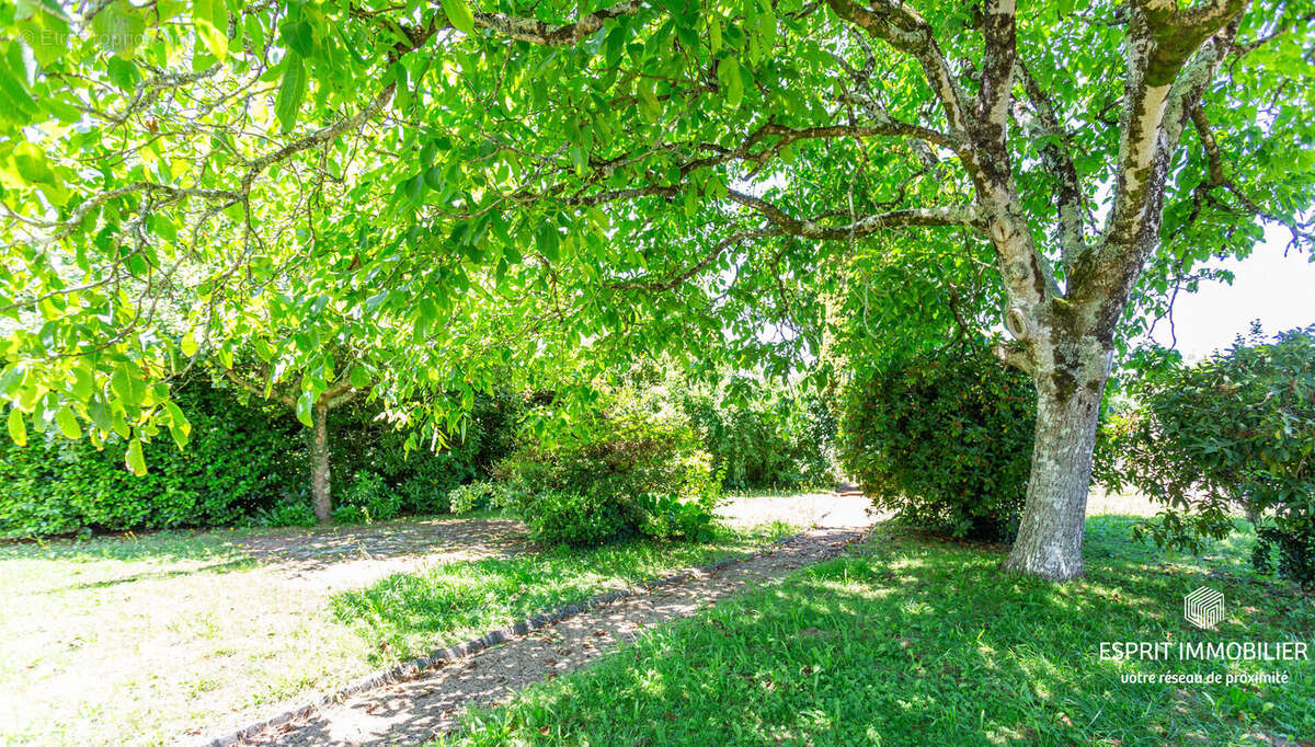 Maison à RIEC-SUR-BELON