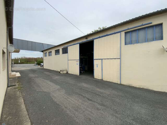 Commerce à SAINTE-BAZEILLE