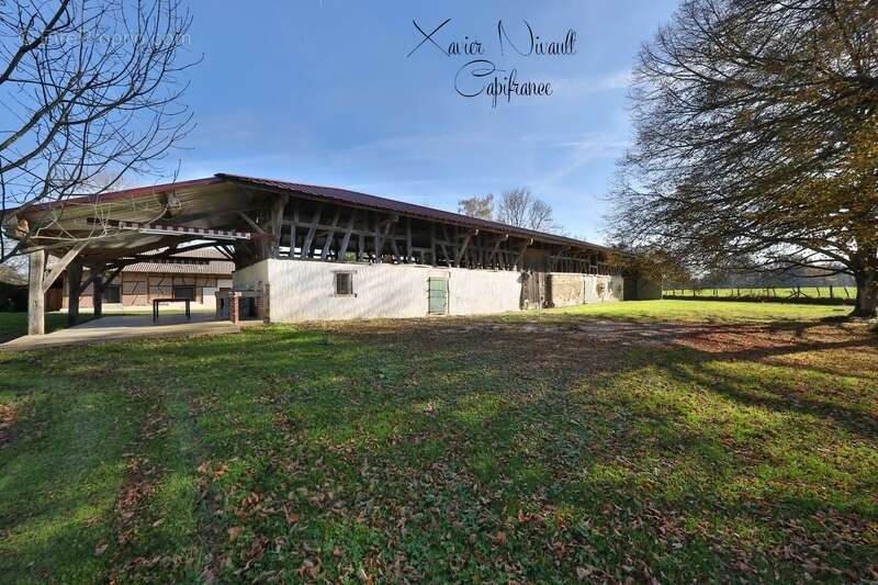 Maison à SAINT-AMOUR