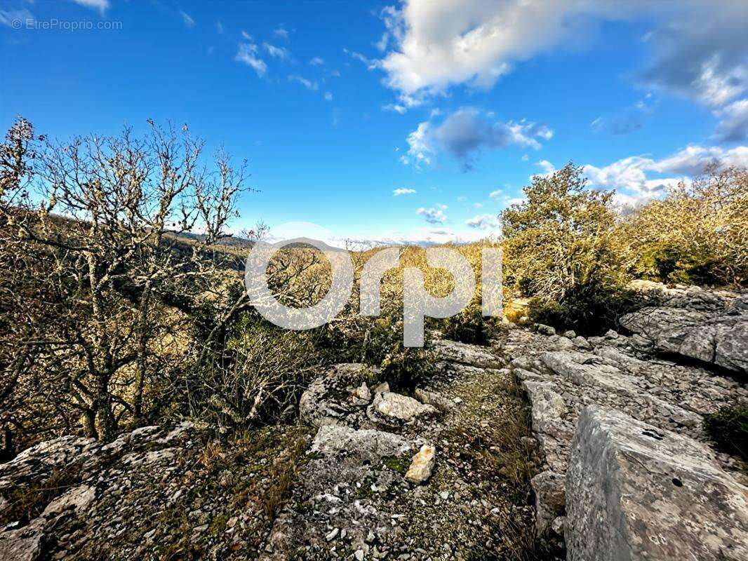 Terrain secteur Saint Paul Le Jeune - photo 4
