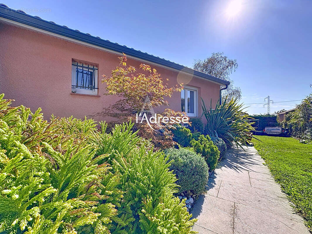 Maison à PLAISANCE-DU-TOUCH