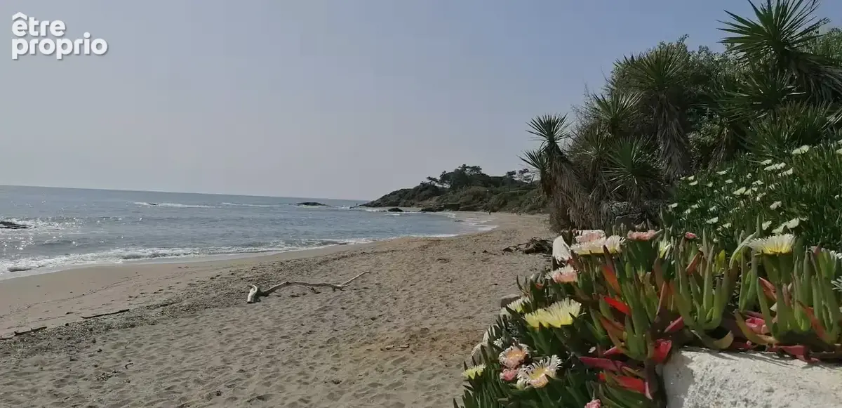 Marina di Bravone   T3 avec terrasse face piscine, parking privatif et plage à proximité - photo 14
