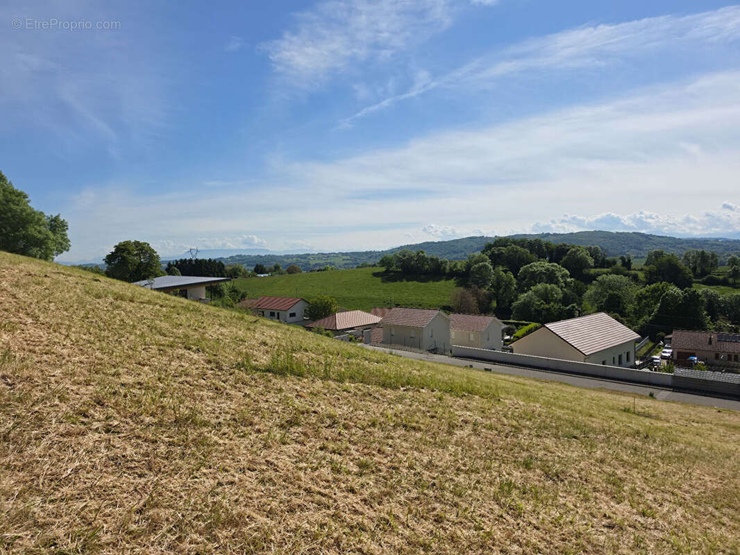 Terrain à BELMONT