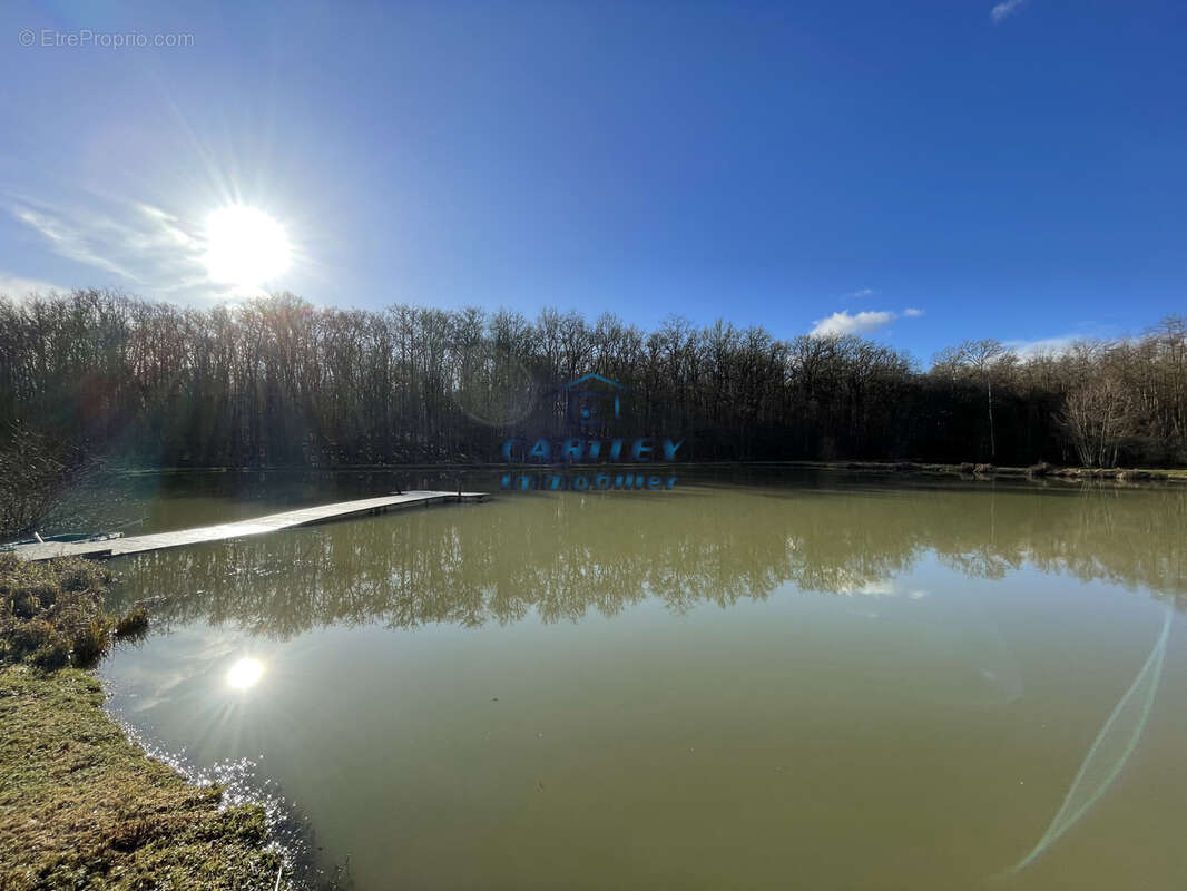Terrain de loisir avec 3 etangs - axe lure / villersexel - photo 10