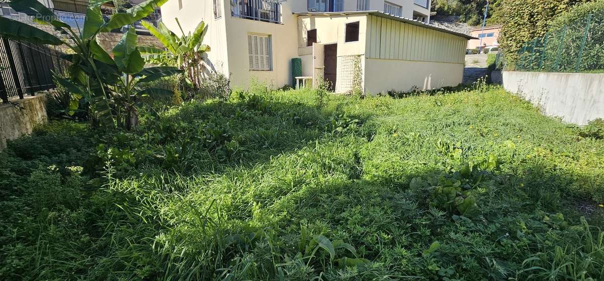 Commerce à TOURRETTE-LEVENS