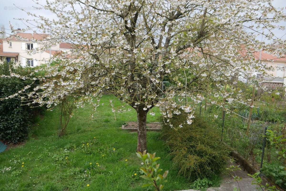 Maison à TREMENTINES