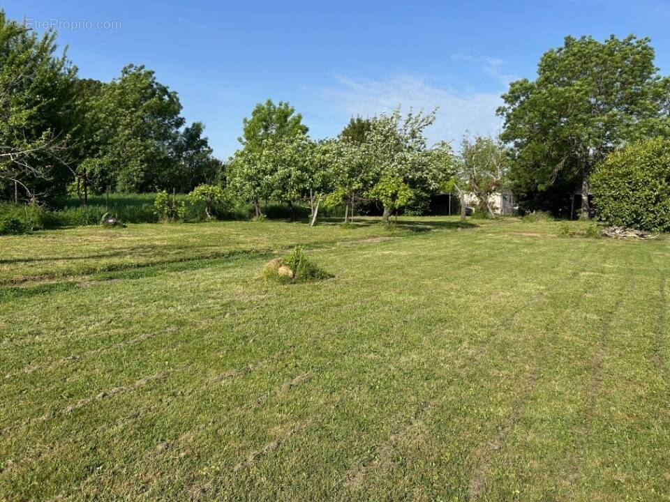 Terrain à LORMONT