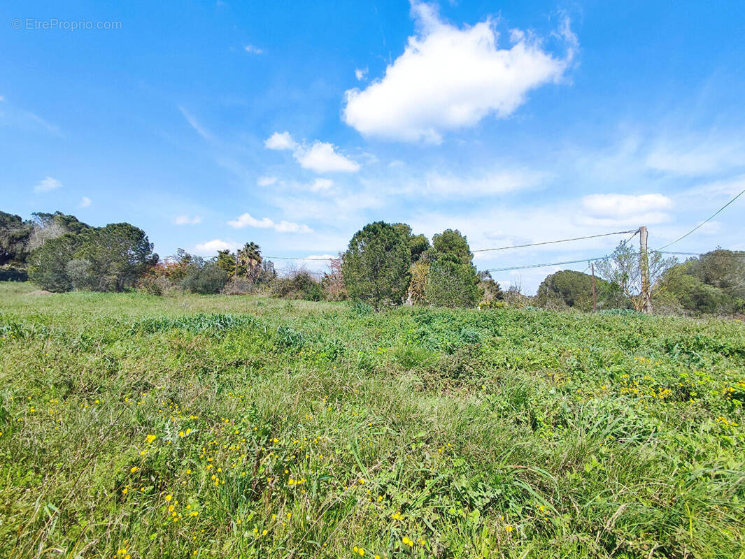 Terrain à PERPIGNAN