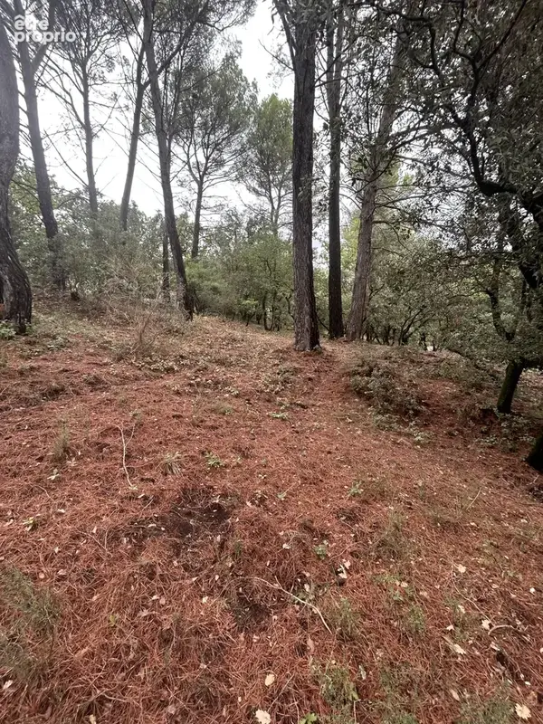 Luberon St-Saturnin les Apt, beau terrain à vendre de 1000 m2 - photo 1