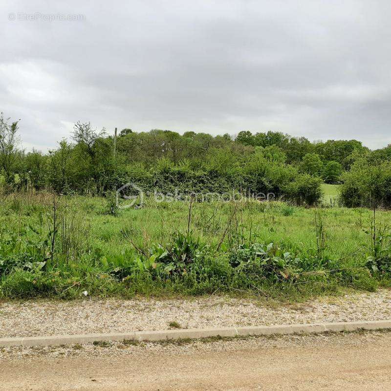 Terrain à SOIGNOLLES-EN-BRIE