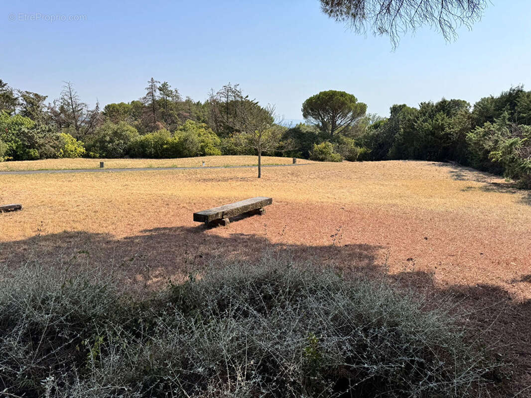 Villa traditionnelle 257 m² avec double garage sur 8481 m² constructibles dans un hameau à l'ouest de Carcassonne - photo 4