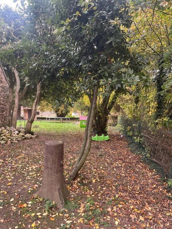 Maison à ARCY-SAINTE-RESTITUE