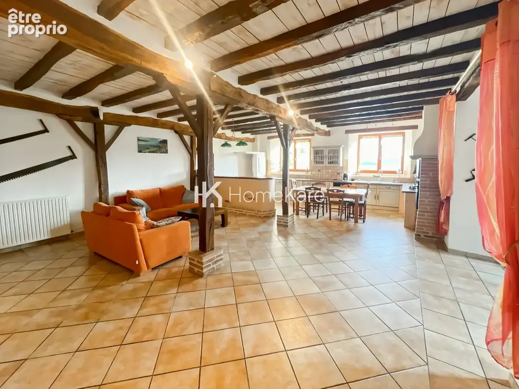 Maison 10 pièces 300 m² à vendre à L'isle-En-Dodon (31230) - photo 7