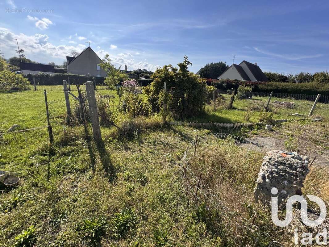 Photo 2 - Maison à LONGUES-SUR-MER