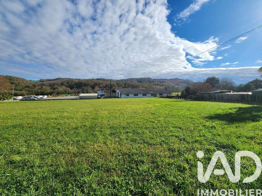 Photo 3 - Terrain à ESPES-UNDUREIN