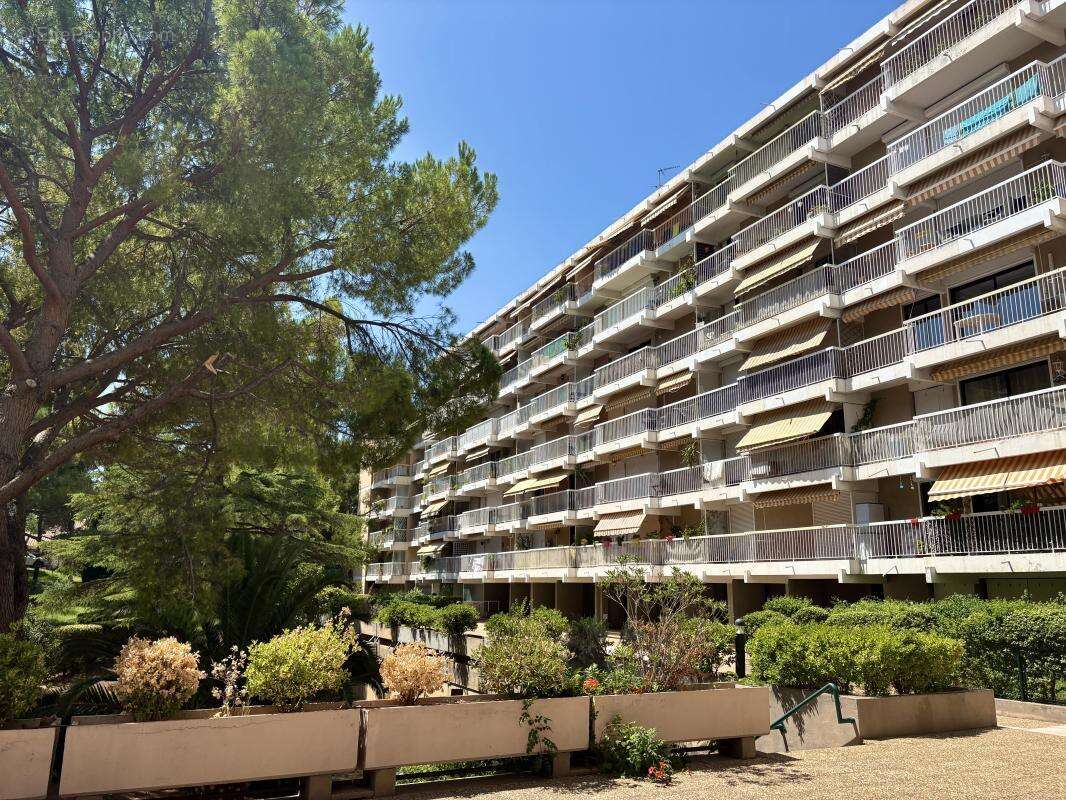 T3 entièrement rénové - photo 8