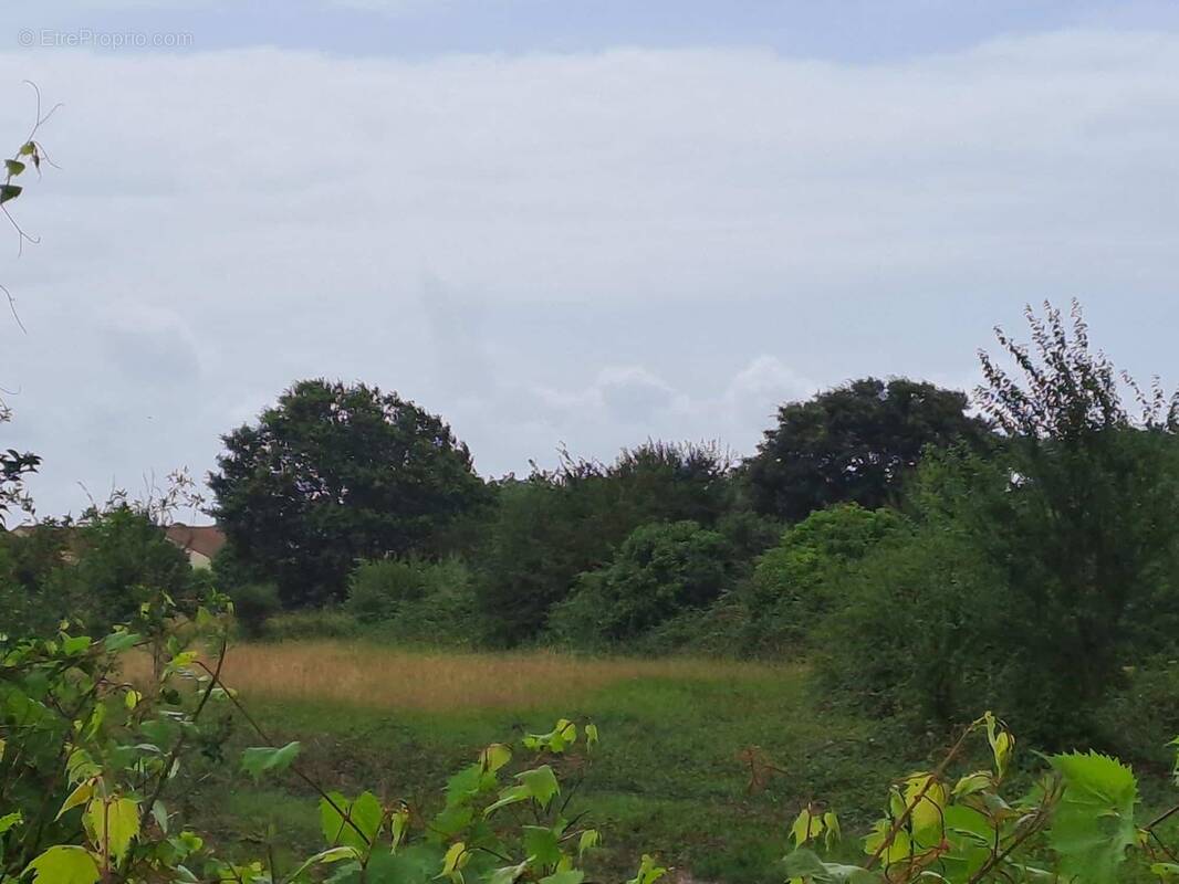 Terrain à SAINT-AUGUSTIN