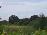 Terrain à SAINT-AUGUSTIN