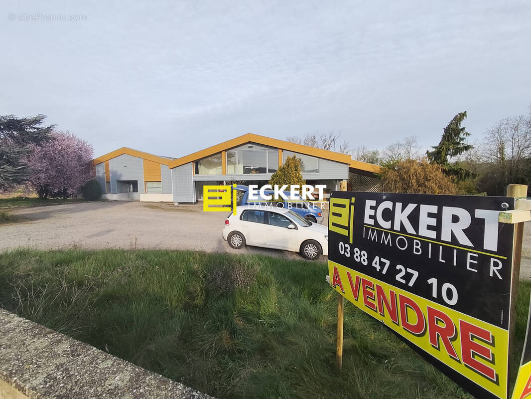 Appartement à ODRATZHEIM