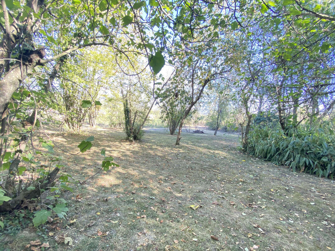 Proche limoux- maison de caractere avec piscine sur terrain arbore de plus de 6000 m2 - photo 24