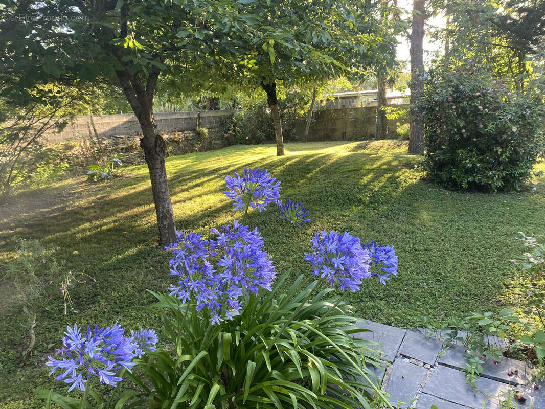 Maison à MURS-ERIGNE