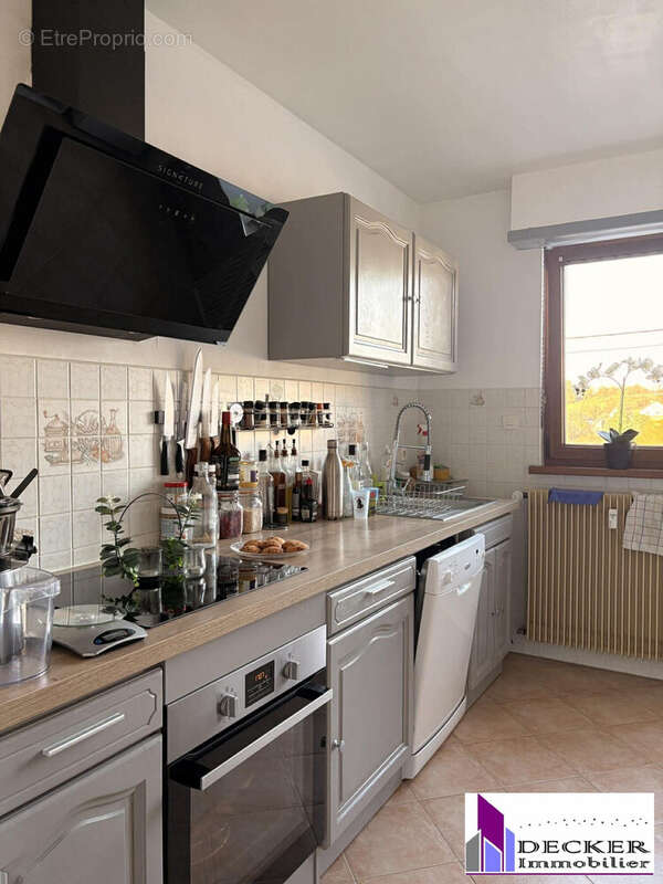 Appartement à INGWILLER