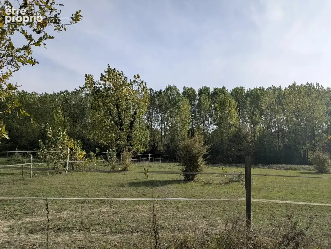 Propriété équestre idéale pour la vie de famille, 5 chambres, 5 ha, piscine - photo 16