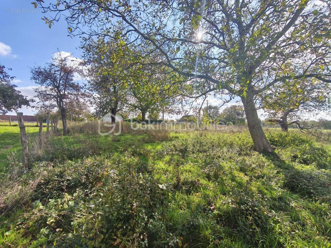 Terrain à MONTMIRAIL