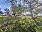 Terrain à MONTMIRAIL