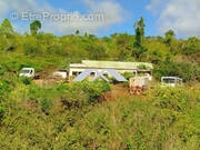 Terrain à SAINT-BENOIT