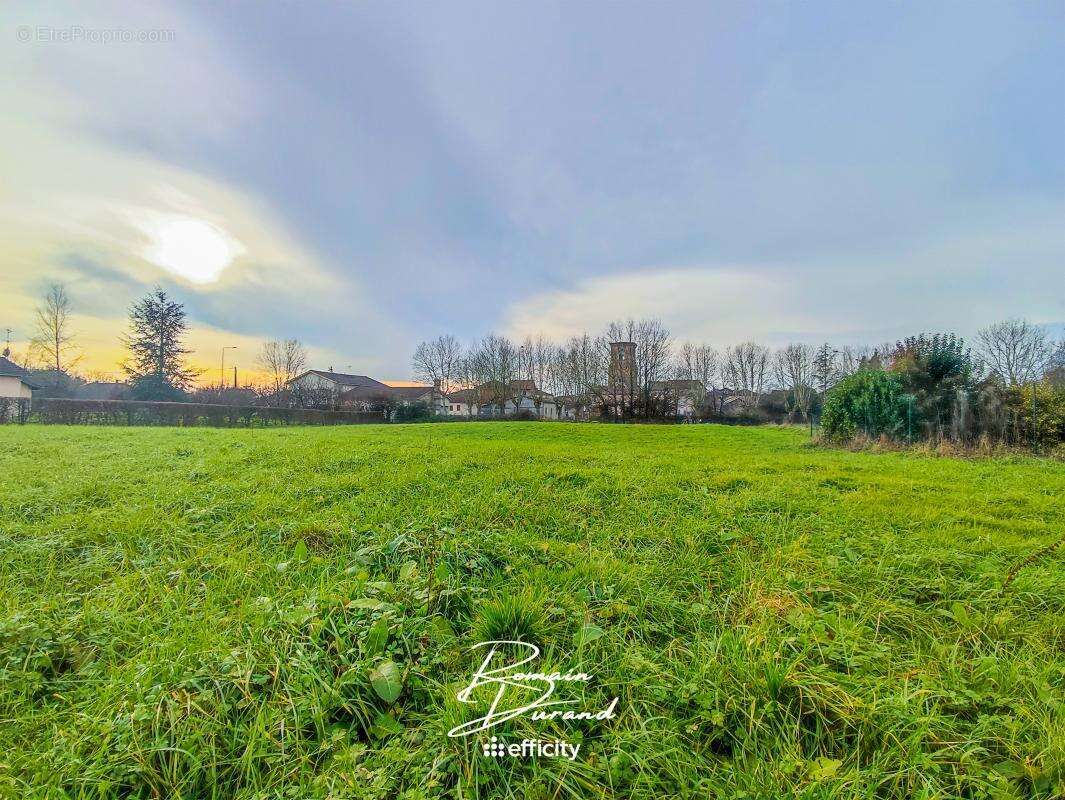 Terrain à SAINT-TRIVIER-DE-COURTES