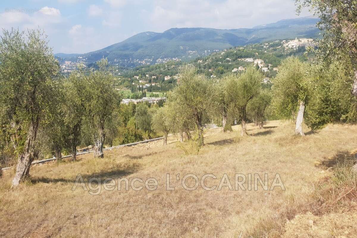 Terrain à OPIO