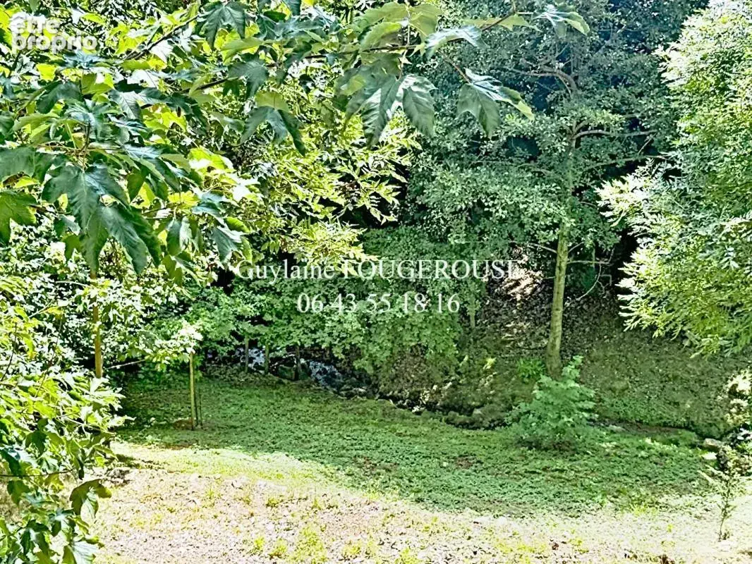 Prestige Aile d'un château Plus d'un hectare de terrain - photo 14