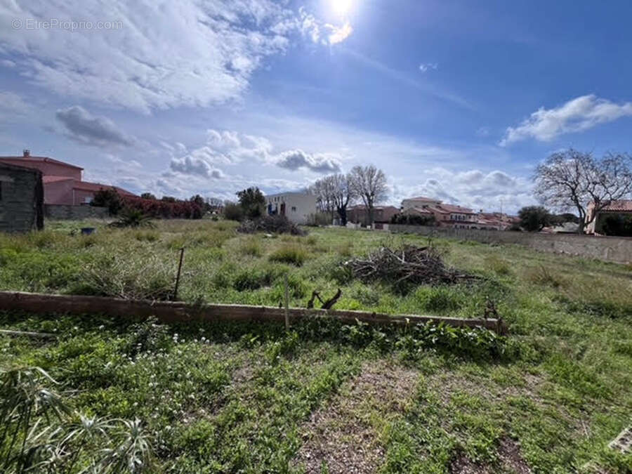 Maison à RIVESALTES