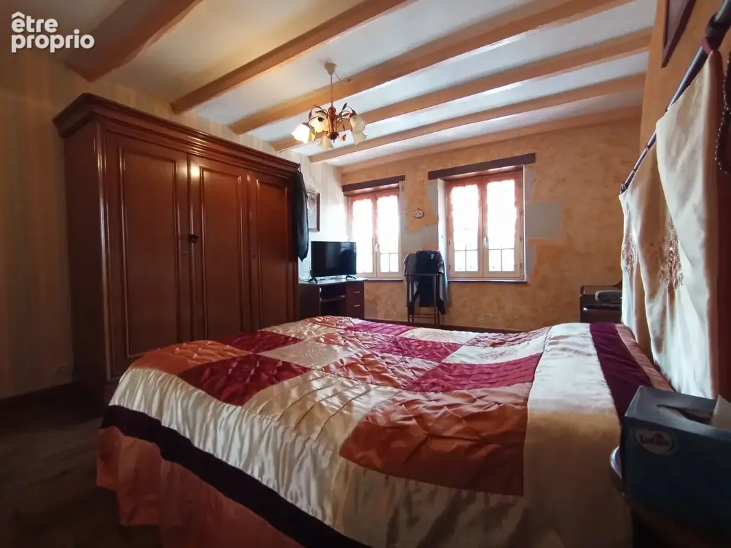 Saivres (79) à vendre – maison de caractère en pleine campagne 195 m² -6p- 3249 m² de terrain arboré - photo 7
