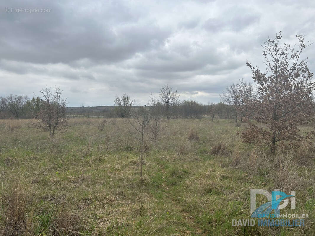 Terrain agricole de 3500 m2 - photo 3